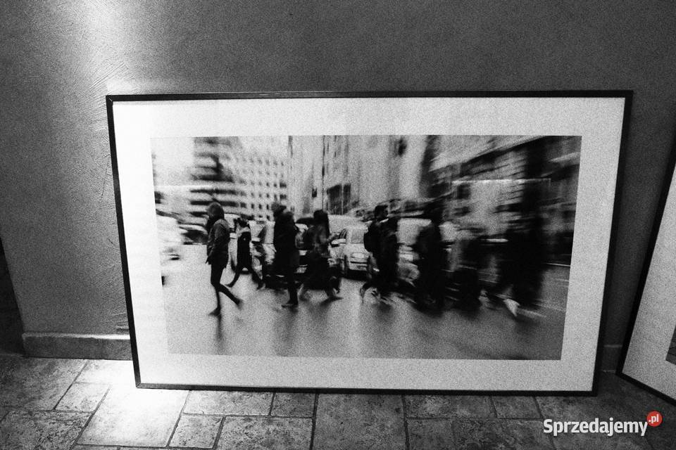 Komplet pięknych fotografii w metalowych ramach