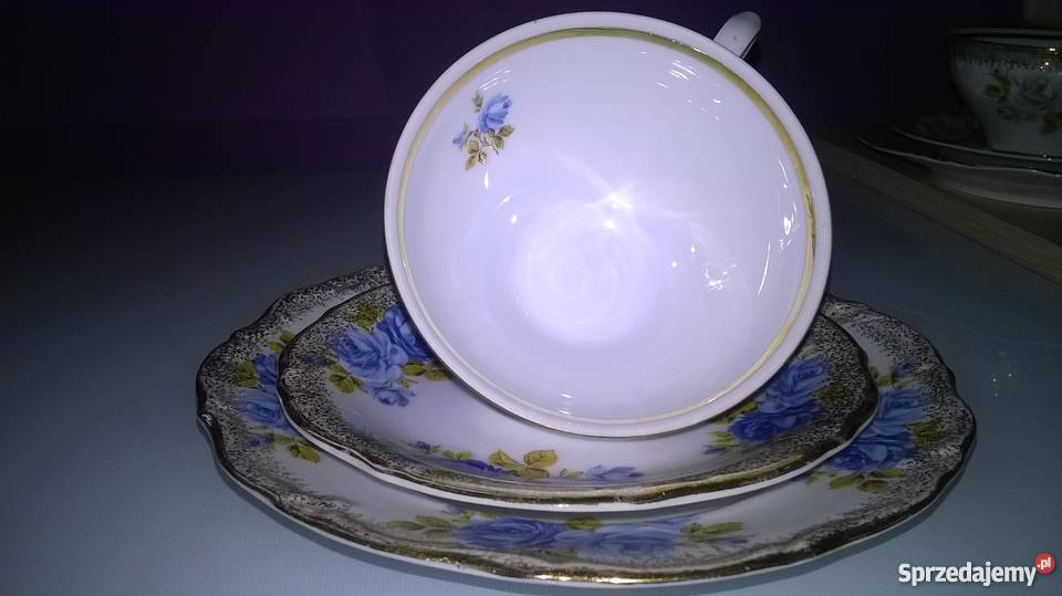 wspaniałe róże winterlinga Pozostałe Katowice