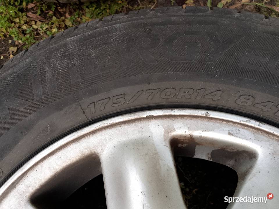 Kłos letnie 17570R14 Myszków