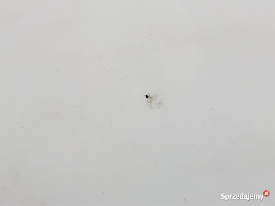 SPOILER LOTKA CHRYSLER PACIFICA Minivan LOTKA