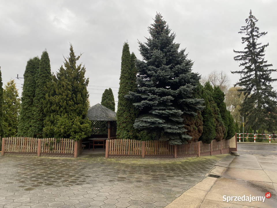 Sprzedam dom i Hale magazynowe na działalnośc Rozdrażew sprzedam