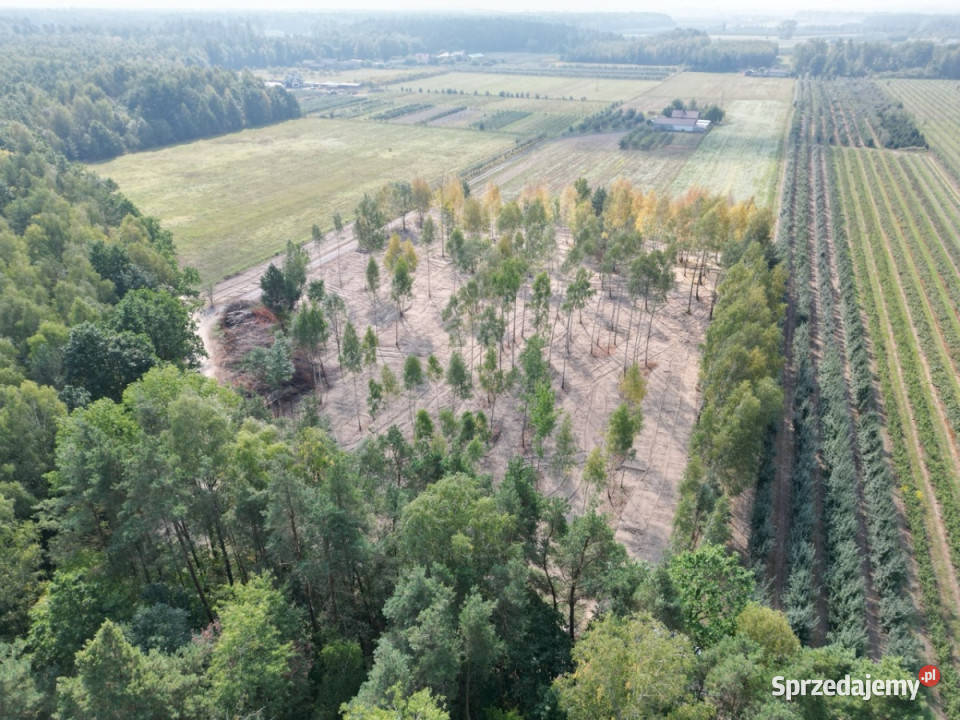 Działki budowlane na sprzedaż25min Grodziska 1073m2 mazowieckie Grodzisk Mazowiecki