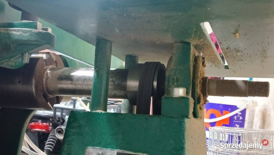 Heblarka kujawsko-pomorskie Orzełek