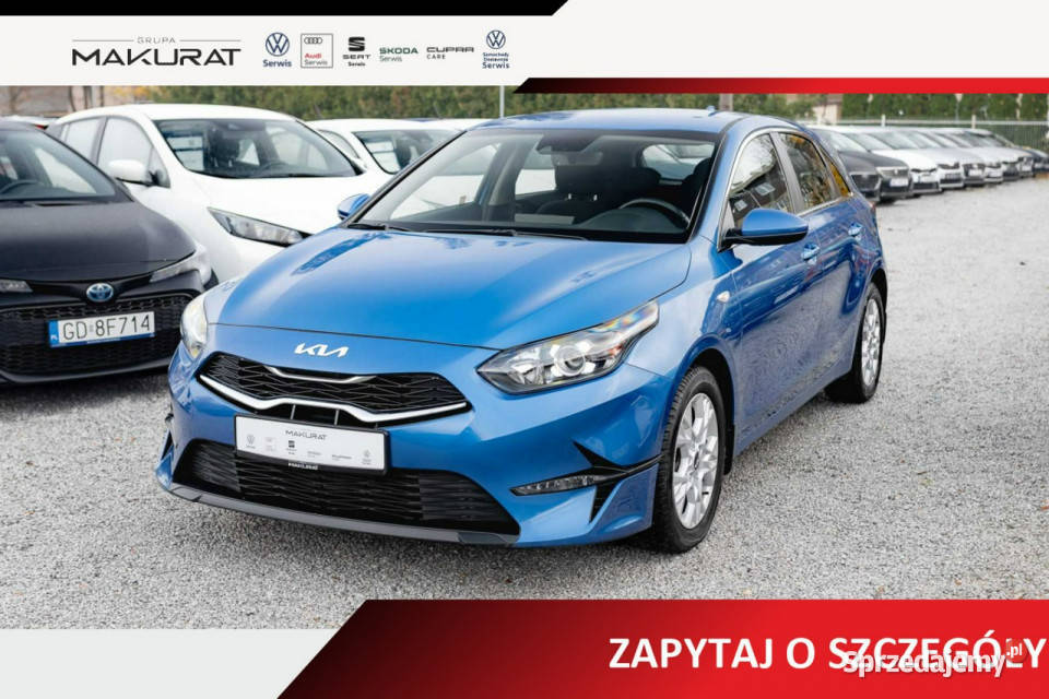 Kia Ceed WB1624Y15 TGDI M DCT 2 stref klima Kcof Kia Gdańsk sprzedam