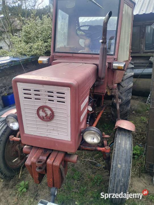 Władymicec t25 Władimirec Gorzów Wielkopolski sprzedam