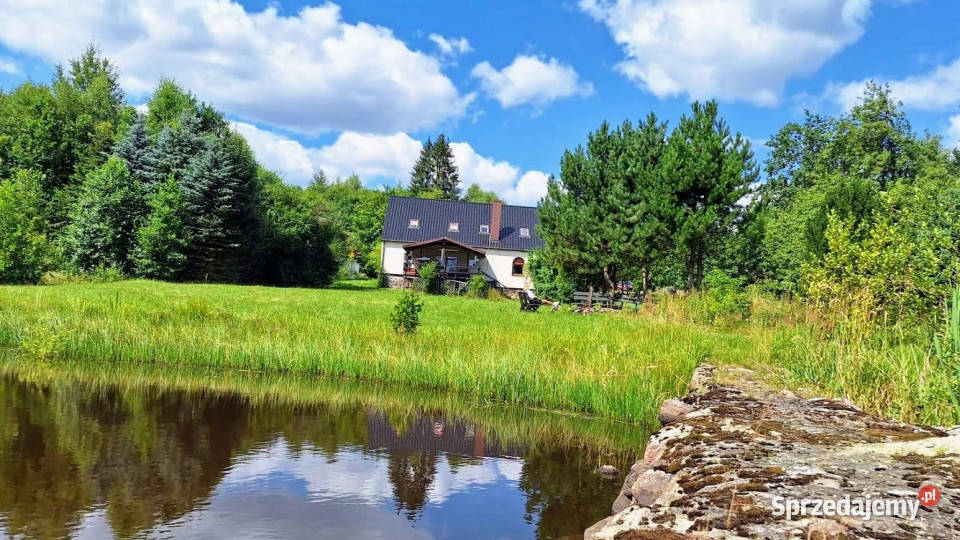 sprzedaży domu wolnostojącego 300m2 Toporzyk Sprzedaż
