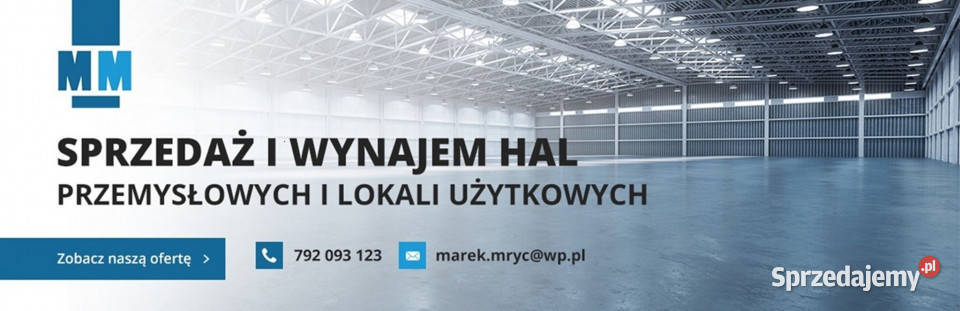 Hala produkcyjna magazyn do wynajęcia Katowice winda śląskie