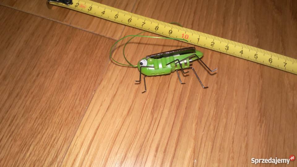 robak elektroniczny solarny owad bateria