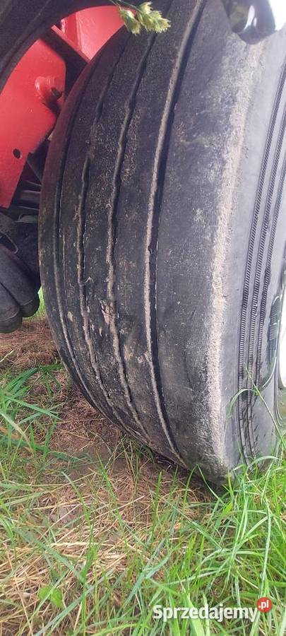 Wywrotka Schmitz Cargobull 48m3 pomorskie Skarszewy