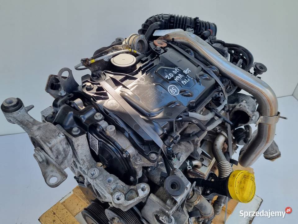 SILNIK KPL Renault Laguna III 20 DCI 150 M9R805 lubelskie Chełm