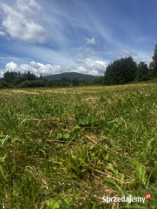 Widokowa działka w Beskidach Tatry i Babia Góra małopolskie Zubrzyca Górna