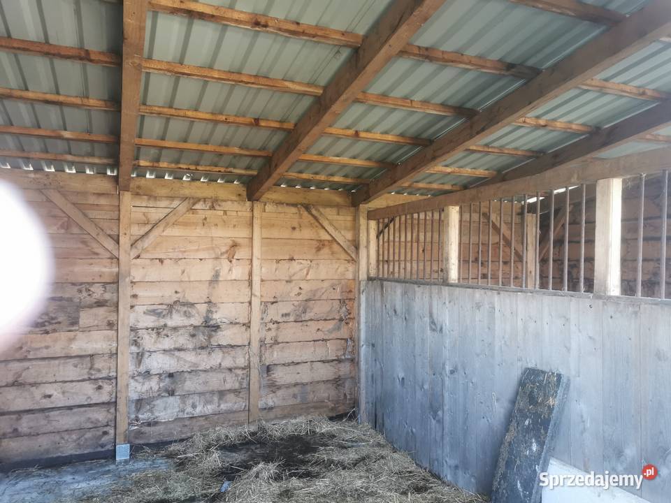 Stajnia angielska dwuboksowa opolskie Strzelce Opolskie