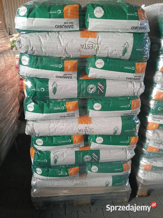 Materiał siewny kukurydza Danubio FAO 240 250 Olsztyn sprzedam