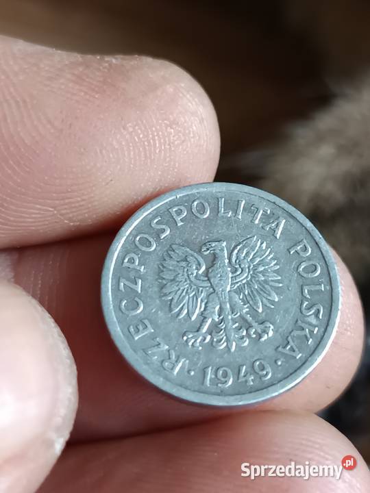 Sprzedam 10 groszy 1949 Numizmatyka Chełm