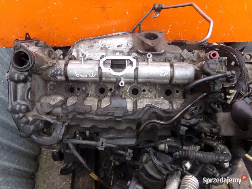 TRANSIT MK8 20 TDCI FWD ECOBLUE 19r 105 silnik mazowieckie