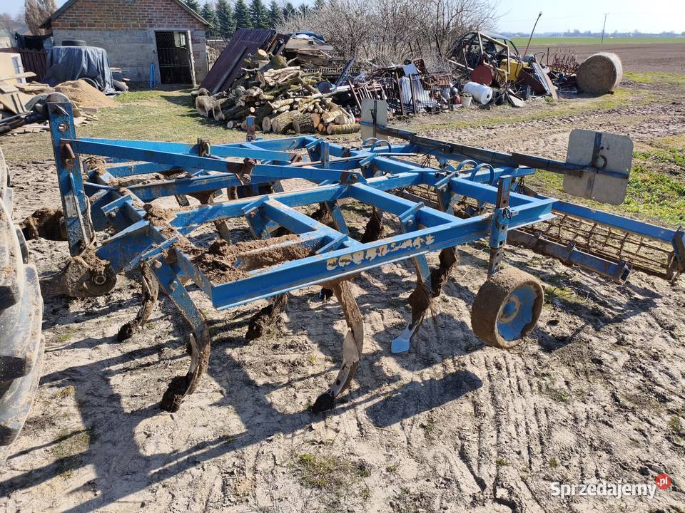 Bezorkowiec czterobelkowiec rabe