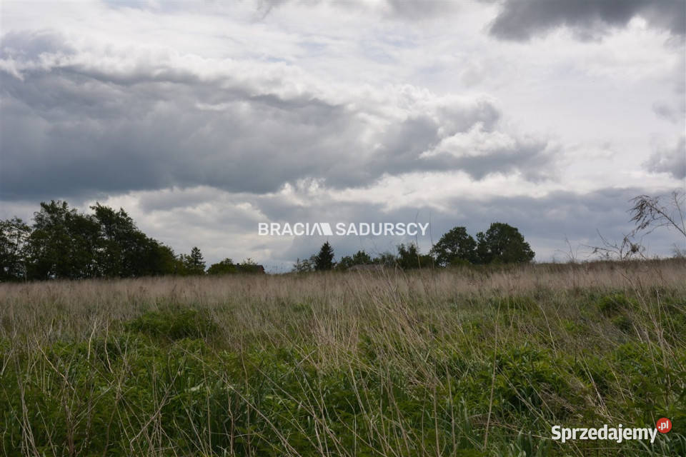 Działka 1464 metry Glewiec woda Sprzedaż małopolskie