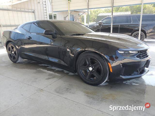 Chevrolet Camaro 2019 36 V6 3600cm3 Żuromin