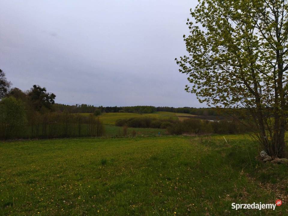 Działka budowlana drodze asfaltowej Sprzedaż Rumy