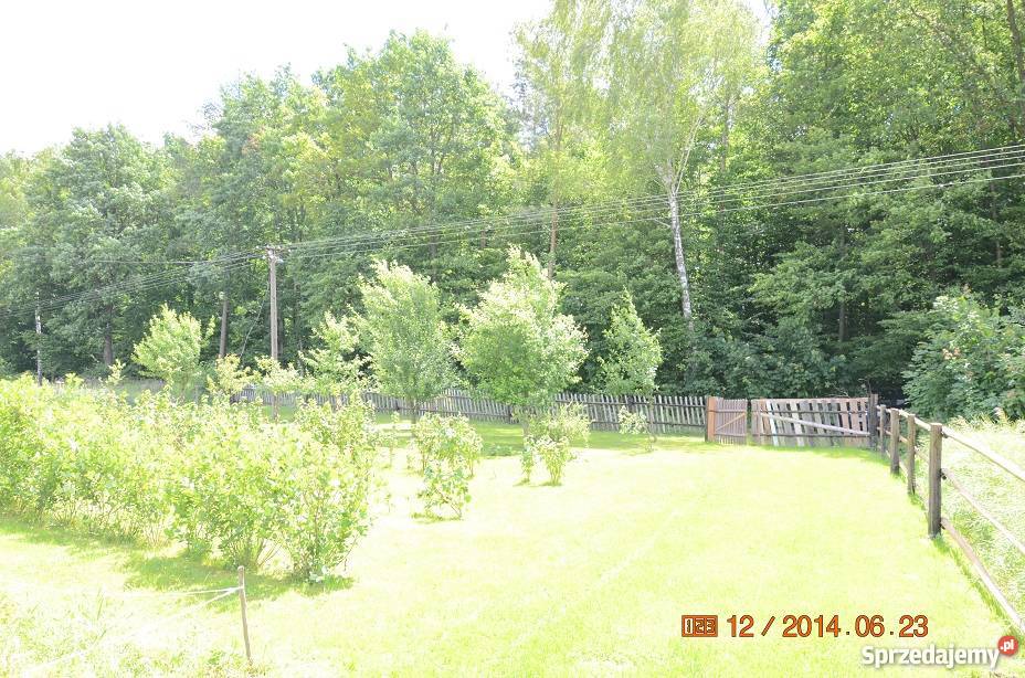 działka Liśnik Duży SPRZEDAM 13 ha gospodarstwo lubelskie