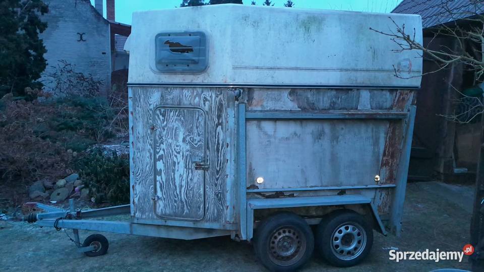 przyczepka do przewozu koni brenderup 2 osie lubuskie Lubiatów