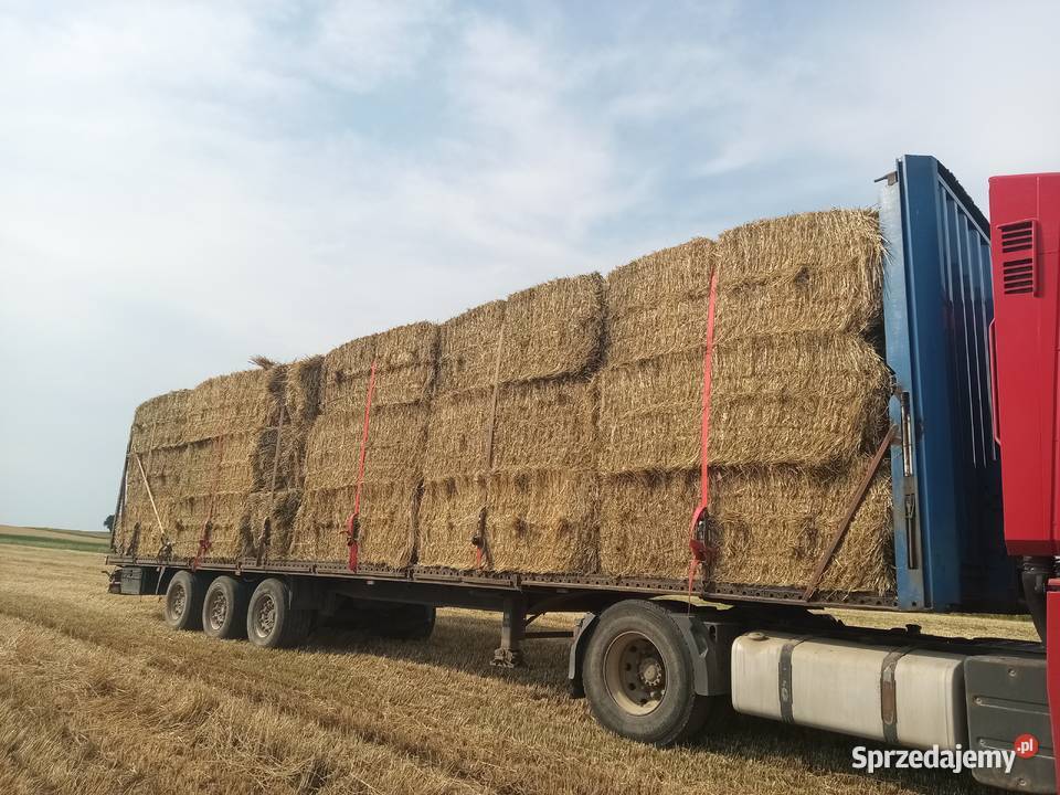 siano w duża kostka suche z tego roku transport