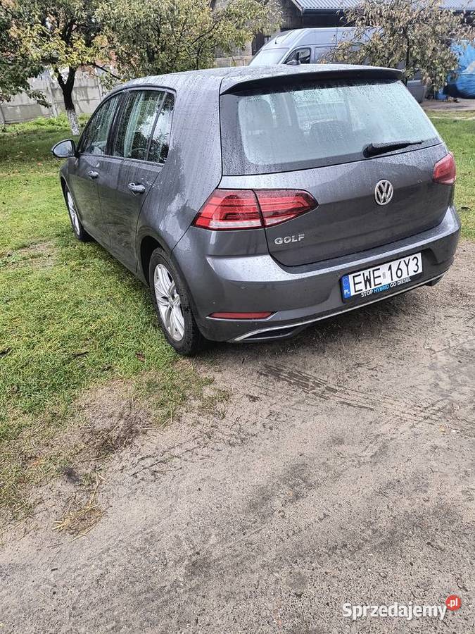 WV Golf 75 nieuszkodzony Krajanka