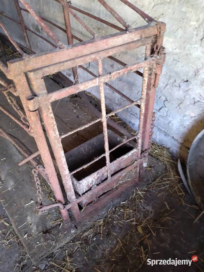 Kojec porodowy Rusociny