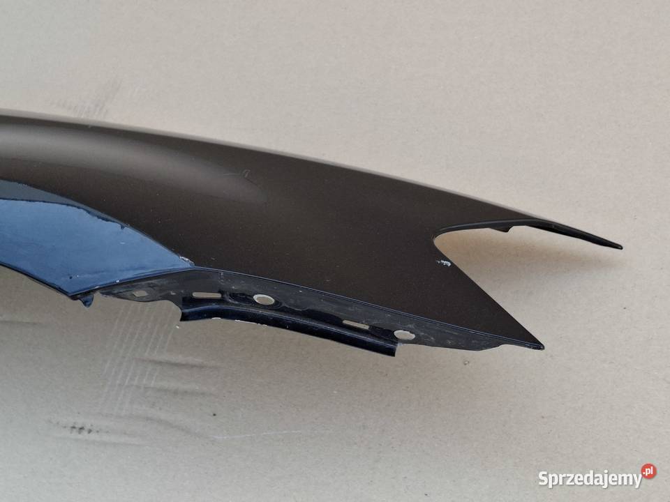 VW GOLF VII 7 BŁOTNIK PRAWY PRZÓD PRZEDNI Błotniki lubuskie Bieleń