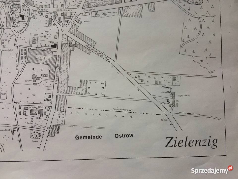 1223 SULĘCIN Kopia Planu Miasta Szczecin sprzedam