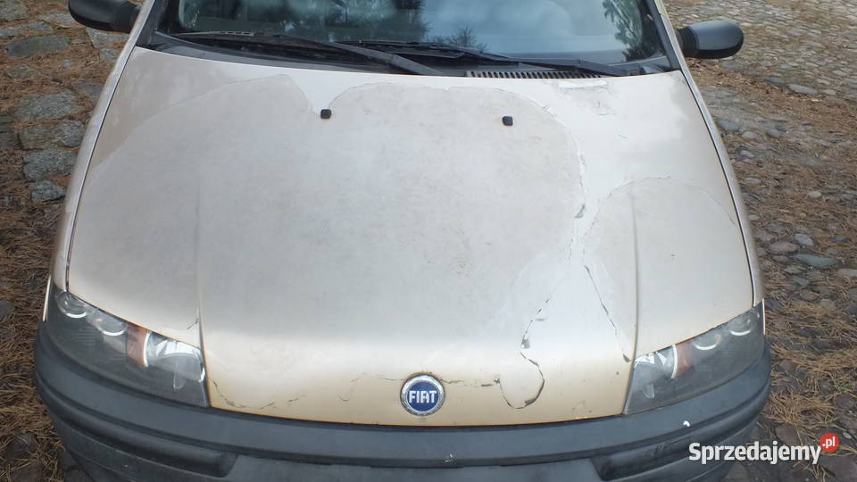 Fiat Punto silnik 19d całość części skrzynia Rok produkcji 2001 Kalisz
