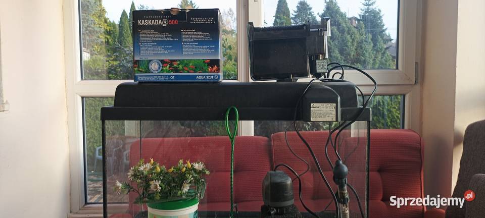 akwarjum rybek z dodatkami Przodkowo