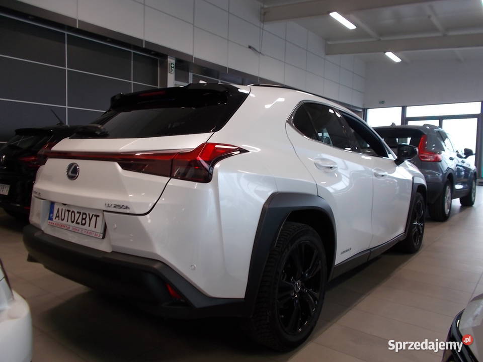 LEXUS UX 250H bEE AutomatSalon Polska 2000cm3 Dębica