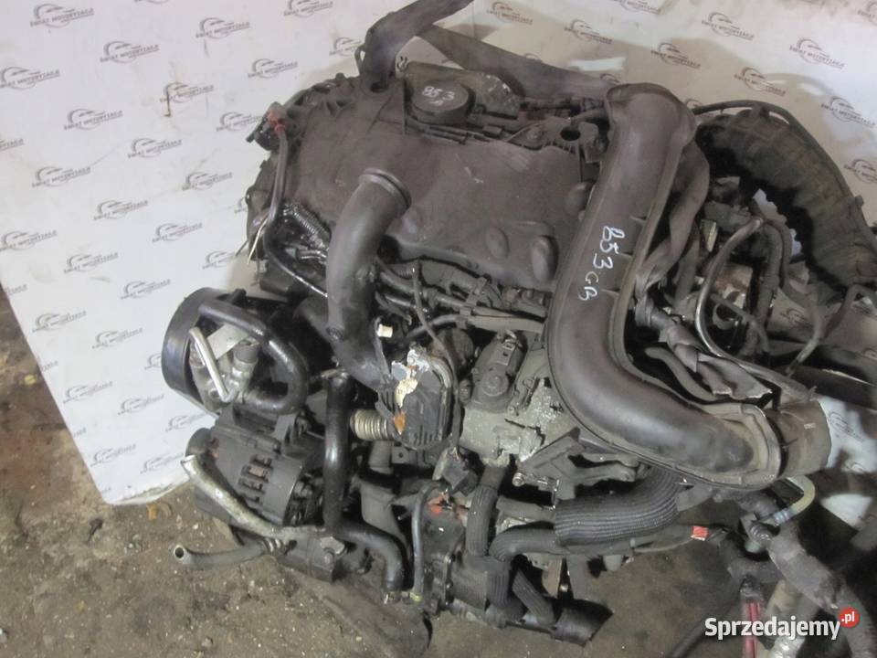 TRAFIC VIVARO PRIMASTAR 20 DCI M9R780 114 07r