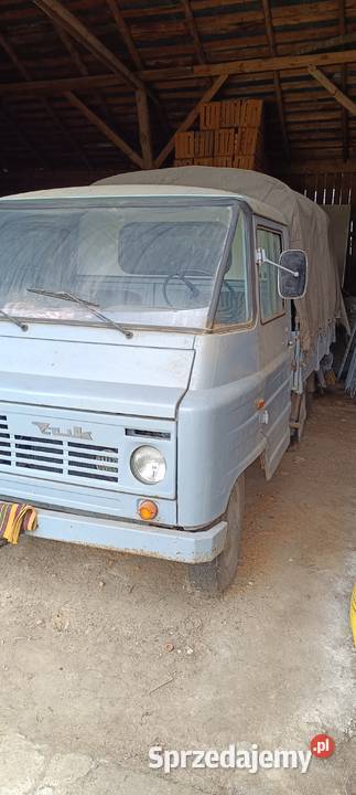 Żuk mazowieckie Grójec