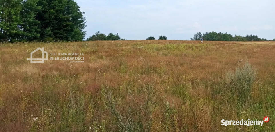 sprzedaży gruntu Skrzeszewo 1070m2 1070m2 pomorskie