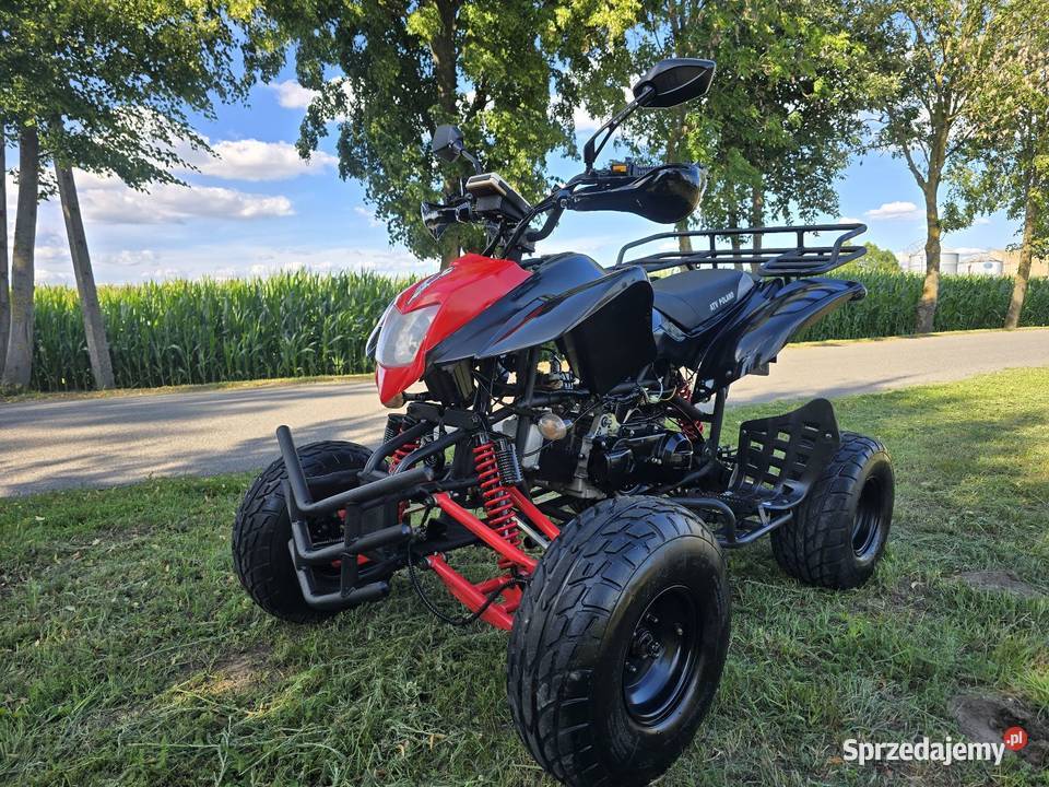 Quad Shenke Bashan 150200cc Automat Kat B kujawsko-pomorskie