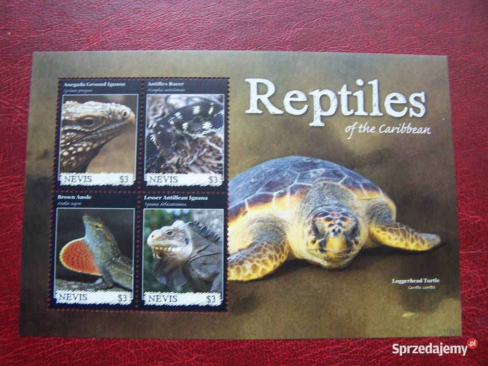 Nevis 2011 MNH Fauna Gady Jaszczurka Żółw Tychy