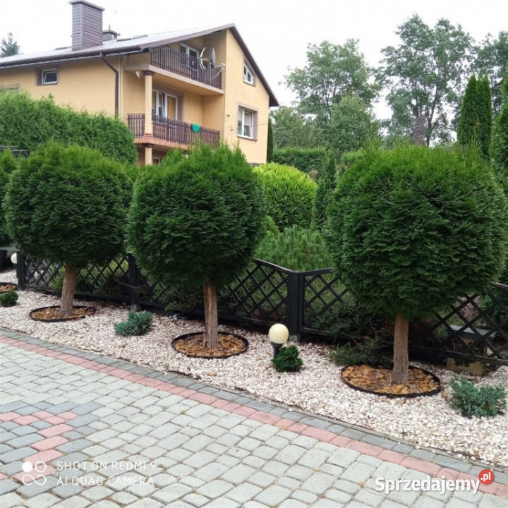 Dom w Rzeszowie na 11 arowej działce taras Rzeszów