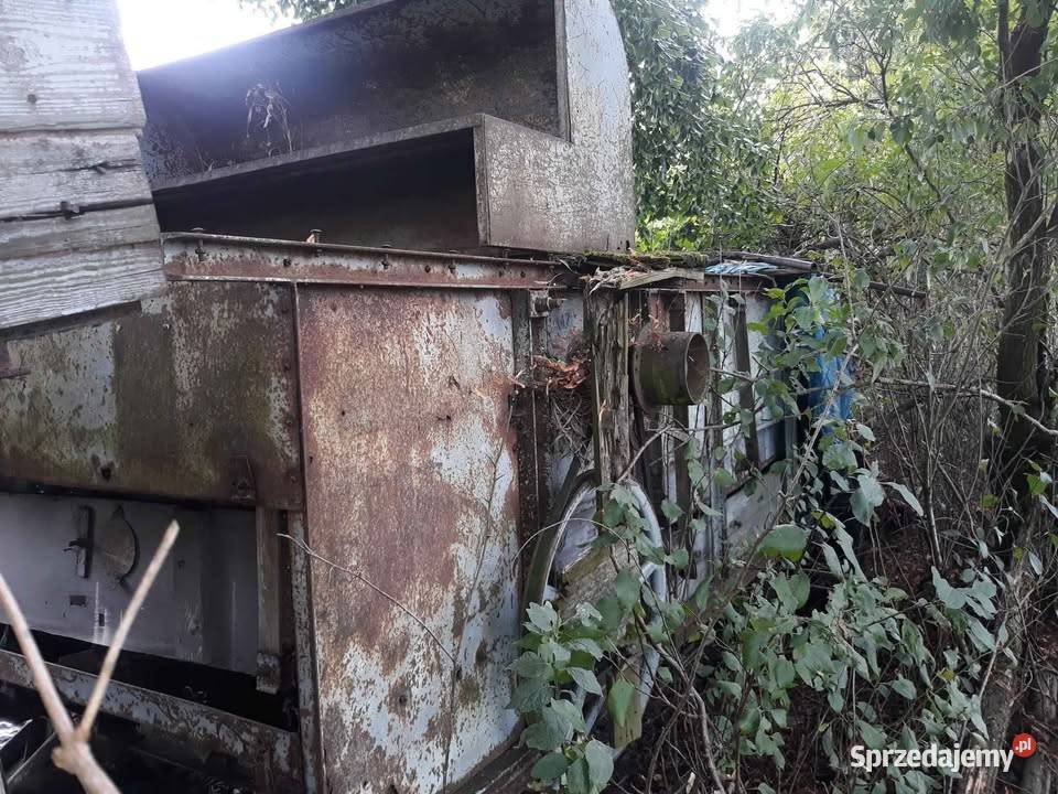 Warmianka wielkopolskie Chodzież