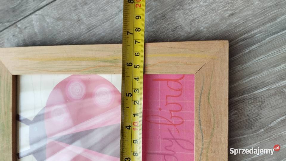 obraz obrazek dekoracyjny biedronka