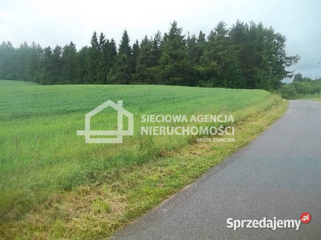 sprzedaży działki 1250m2 Połęczyno