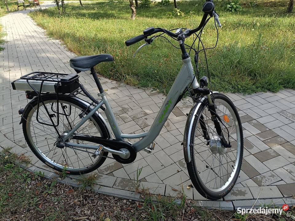 Rower elektryczny Giant Sport i Wypoczynek