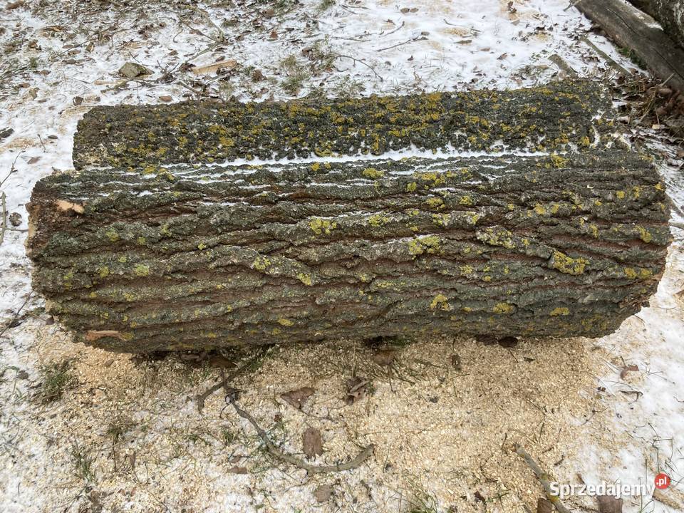 Pień w kształcie serca 75 x 55 x 140 Telatyn sprzedam