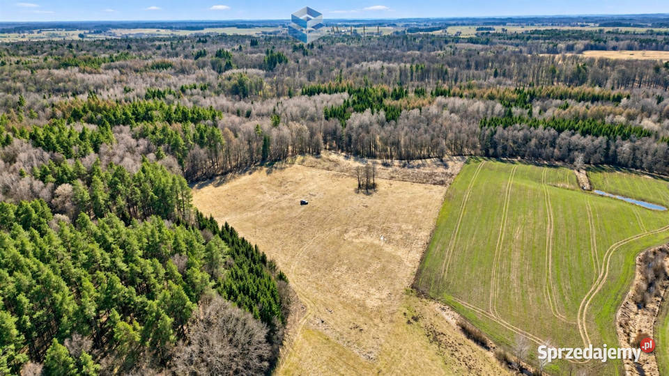 Ogłoszenie działka 7979m2 Jędrychówko