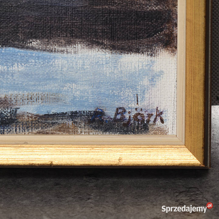 ARTexpert Obraz na płótnie R Bjrk roztopy Dobrzany sprzedam