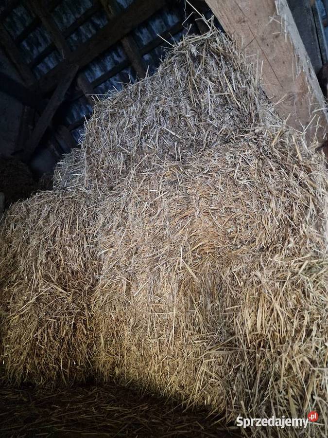 Słoma w kostkach śląskie Molna