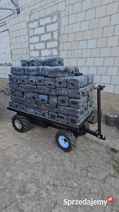 Elektryczny wózek platformowy 1000 Pozostałe mazowieckie Serock