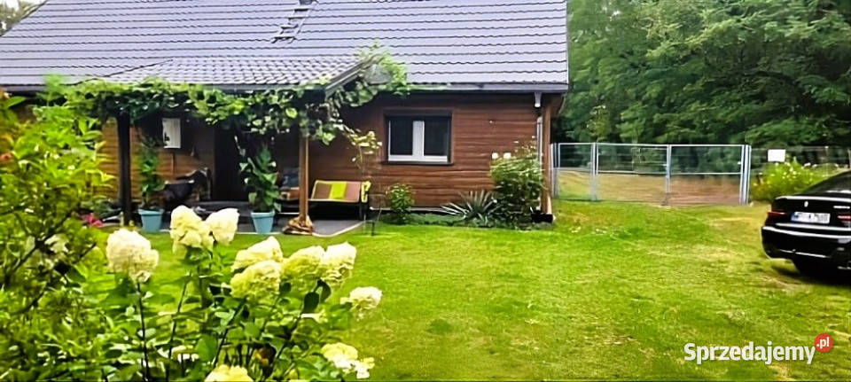 Siedlisko w doskonałym miejscu budynki lubelskie