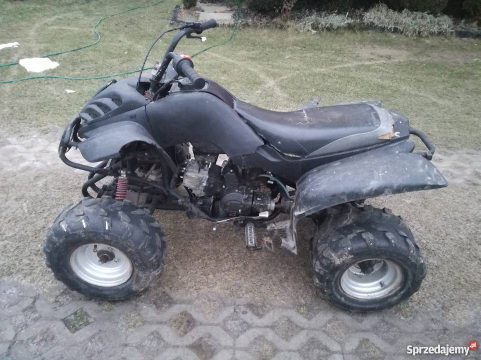 Bashan 110 nieuszkodzony Pszczyna